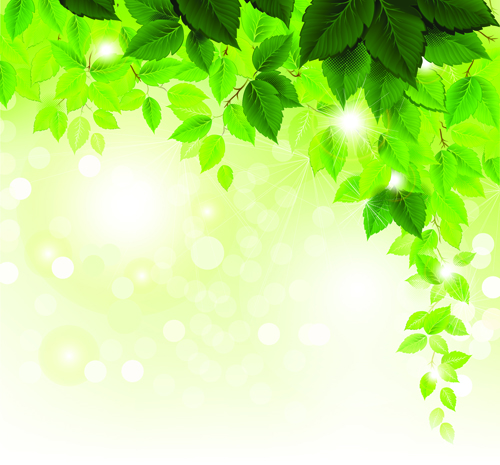 さわやかな緑の葉の背景ベクトル01 Gooloc