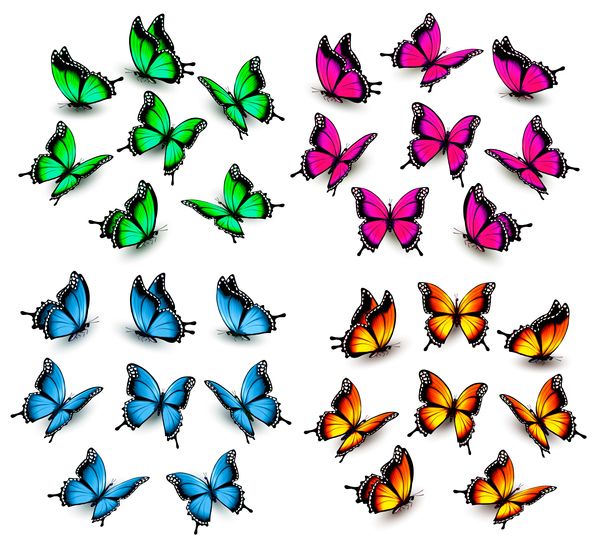 Set von bunten Schmetterlingen Vektormaterial 05 Schmetterlinge Bunt   