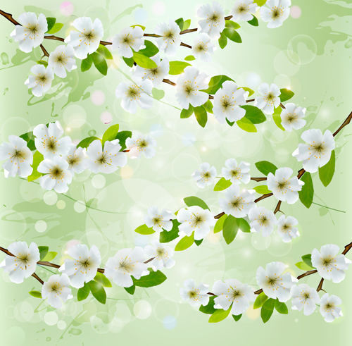 グリースプリング背景ベクトルを用いた白い花 花 背景 白 春 グリー   