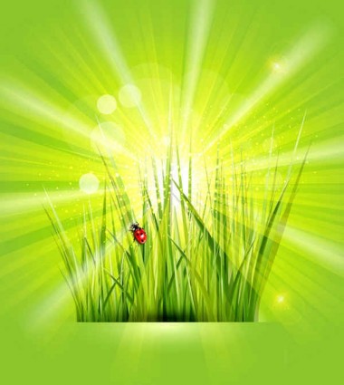 Gras mit Sonnenlicht grünen Hintergrund glänzenden Vektor shiny Hintergrund grün Frei   