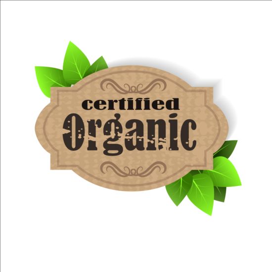 Zertifiziertes Bio-Etikett und grüner Blätter Vektor 03 Zertifiziert grün Etikett Blätter bio   