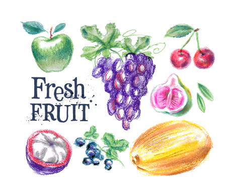 Fruits dessinés colorés vecteurs matériel 05 fruits dessiné coloré   