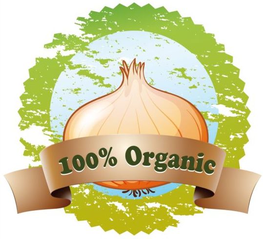 Étiquette de vecteur d’oignon organique organique oignon étiquette   