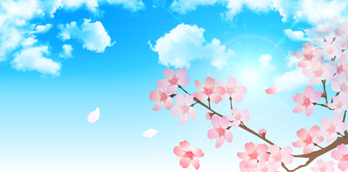 Sakura avec le ciel bleu vecteur fond 08 sakura fond ciel Bleu   