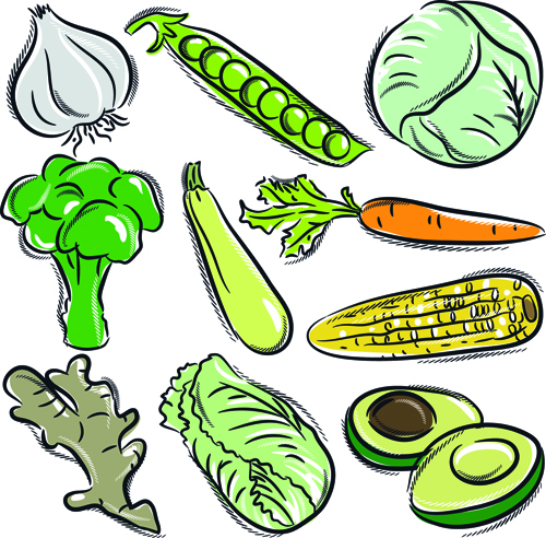 Sortes de main dessin légumes vecteur ensemble 02 légumes Dessin à la main Dessin   