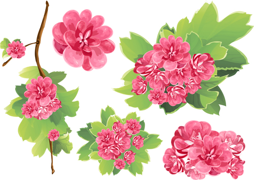 Matériel de vecteur de fleurs de printemps rose rose printemps matériel fleurs   