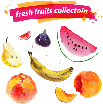 Aquarelle fruits frais Set 07 vecteur fruits frais aquarelle   