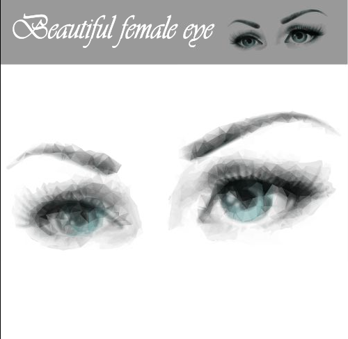 Schöne weibliche Augenvektorgrafik female eye beautiful   