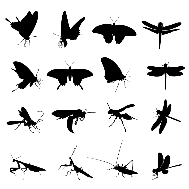 Différents insectes silhouettes vecteur créatif silhouettes silhouette different Créatif   