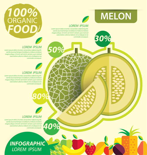 Flachfrüchte Infografie-Vektorvorlage 09 Wohnung schablone Obst Infografik   