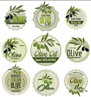 Style vert huile d’olive badges vecteur 04 style vert olive huile d’olive badges   