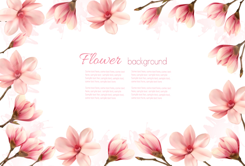 Rosa Magnolienblumen Rahmenvektor Rahmen pink Magnolie Blumen   