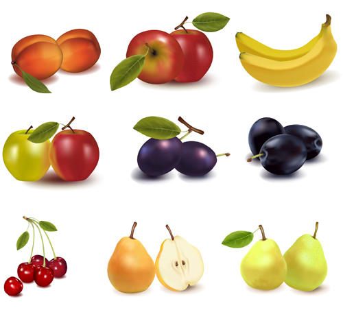 Graphismes de fruits réalistes vecteur matériel 04 réaliste matériau vectoriel icônes icône fruits   