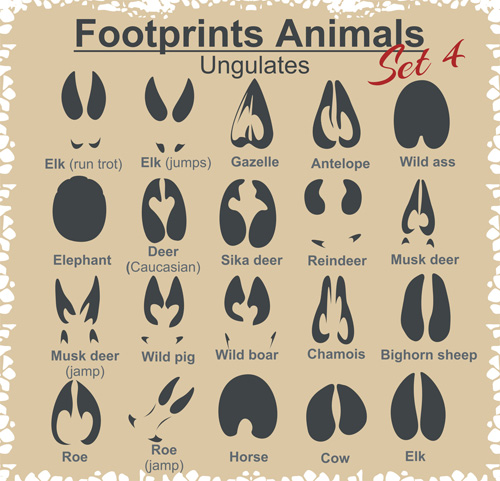 Verschiedene Fußabdrücke Tiere entwerfen Vektoren 02 Tiere Fußabdrücke Diverse   