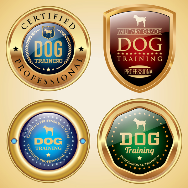 Dog Trainingsabzeichen goldenen Vektor training Hund gold Abzeichen   