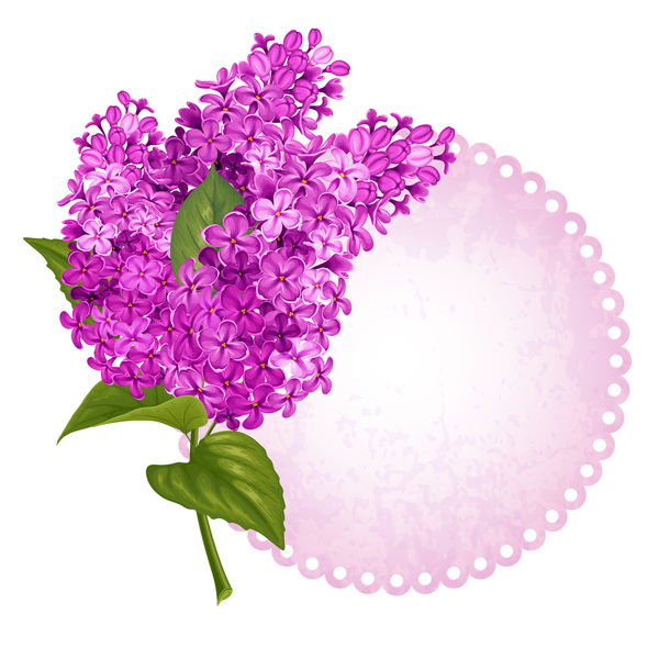 Lilac-Kartenvorlage   