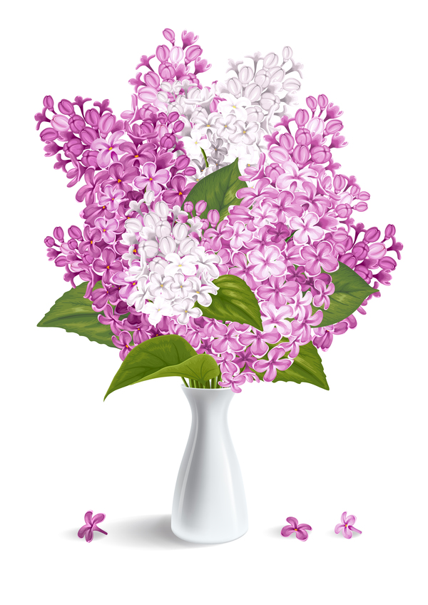 Lilas avec vecteur d’illustration de vase blanc vase Lilas blanc   