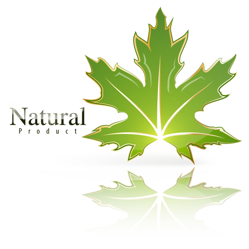 Glänzendes grünes Blatt mit Naturloogo Vektor 03 shiny Natur logo grün Blatt   