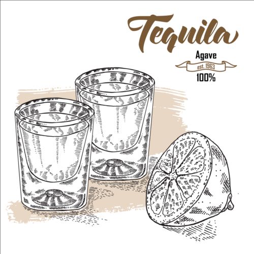 Tequila mit Zitronengezeichnete Vektor 02 Zitrone Tequila hand gezeichnet   