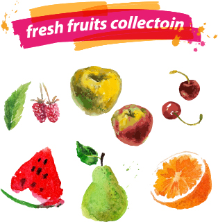 水彩画フレッシュフルーツセット06ベクトル 水彩 果物 新鮮な   