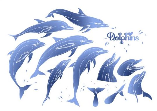 Dauphin bleu avec le vecteur d’été de fond 01 fond été Dauphin Bleu   