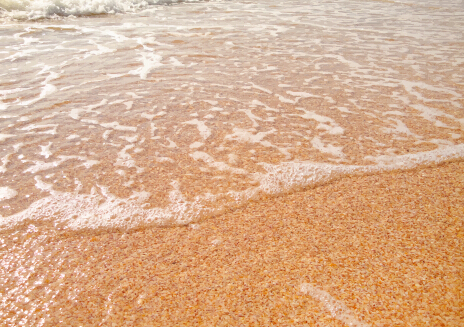 Eaux claires et vecteur de fond de plage vecteur de fond plage fond eaux   
