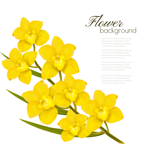 Fleurs jaunes élégantes art fond vecteur 02 fleurs elegant arrière plan   