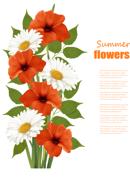 Sommer weiß und orange Blumen Hintergrundvektor 02 Sommer orange Hintergrundvektor Blumen Blume   