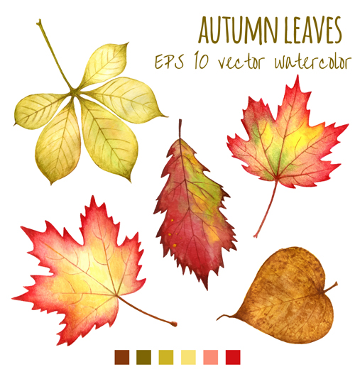 様々な秋の葉ベクトルセット材料04 秋の葉 秋 様々な   