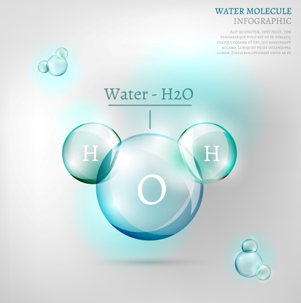 L’eau molécule infographies vecteurs créatifs ensemble 10 molecule infographies eau   