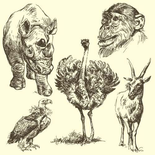 野生動物手描画ベクトルセット12 野生 手描き 動物   