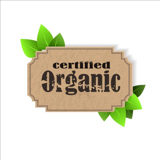 Étiquette certifiée biologique et feuilles vertes vecteur 01 vert feuilles étiquette Certifié bio   