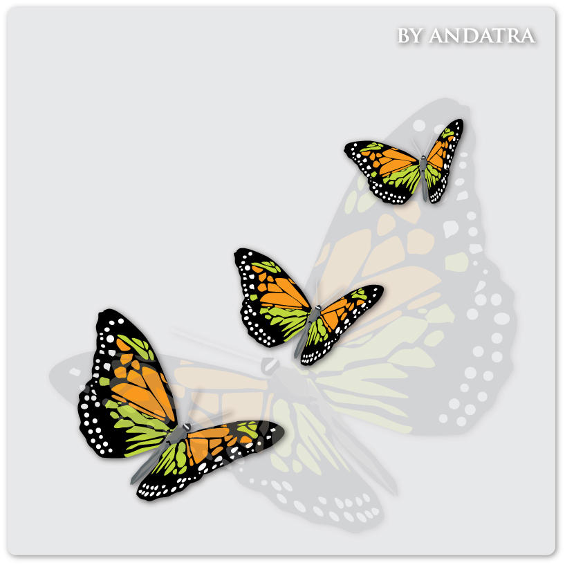 蝶の背景ベクトルグラフィックスと魅力的な蝶03 魅力的な 蝶 背景ベクトル 背景 ベクターグラフィックス   