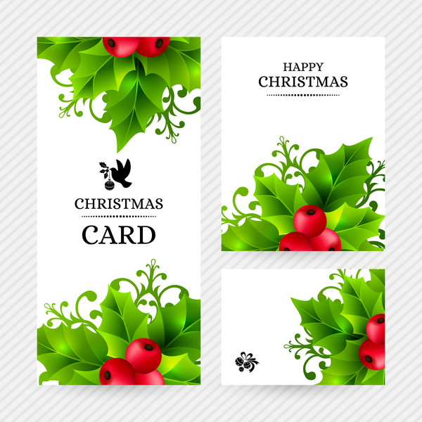 Cartes de Holly de Noël Design vecteur 01 Noël holly cartes   