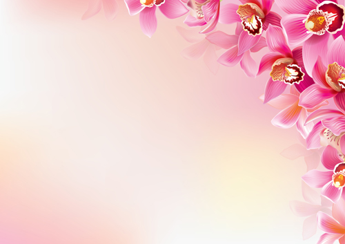 Elegante Orchideen vector Hintergrund Art 02 Orchideen Hintergrund elegant   