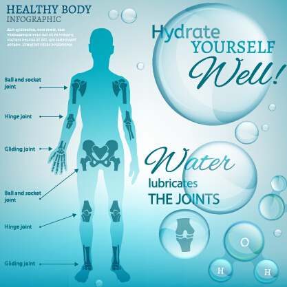 Gesunde Körper Infografie-Vektorvorlage 03 Körper Infografiken gesund   