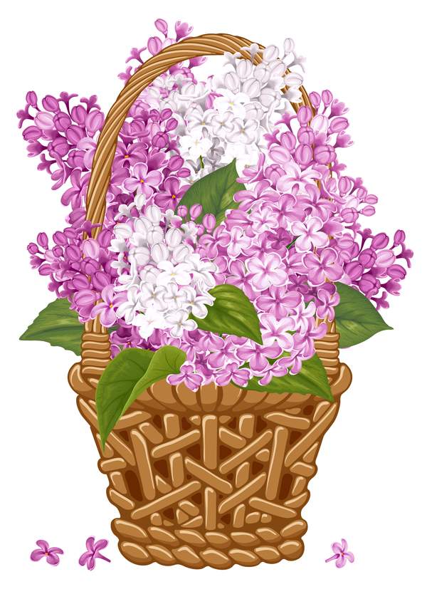 Lilac-Korb-Blugungsvektor lila Korb   