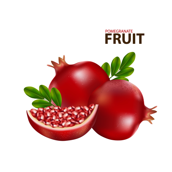 Vecteur d’illustration de fruit de Grenade réaliste 04 réaliste grenade fruits   