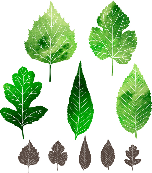 黒い葉と緑の葉のベクトル 黒 葉 緑   