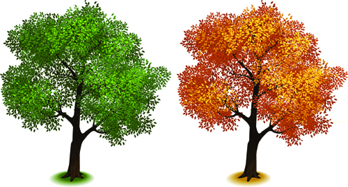 Kreative isometrische Bäume entwerfen Vektor 01 Kreativ isometrisch Bäume   
