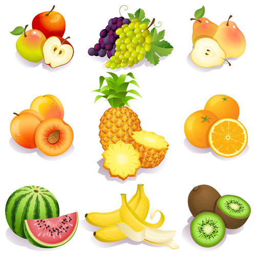 Graphismes de fruits réalistes vecteur matériel 03 vecteur réaliste matériel icônes icône fruits   