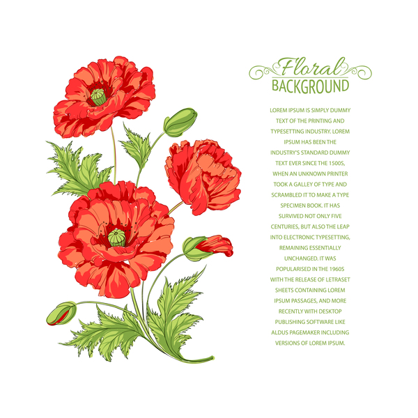 あなたのための背景を持つ赤い花のテキストベクトル 赤 花 用   