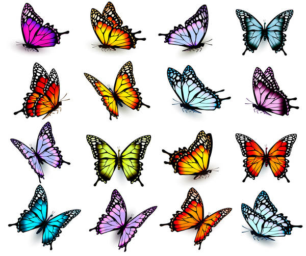 Set von bunten Schmetterlingen Vektormaterial 03 Schmetterlinge Bunt   