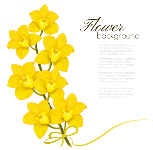 Fleurs jaunes élégantes art fond vecteur 01 fleurs elegant arrière plan   