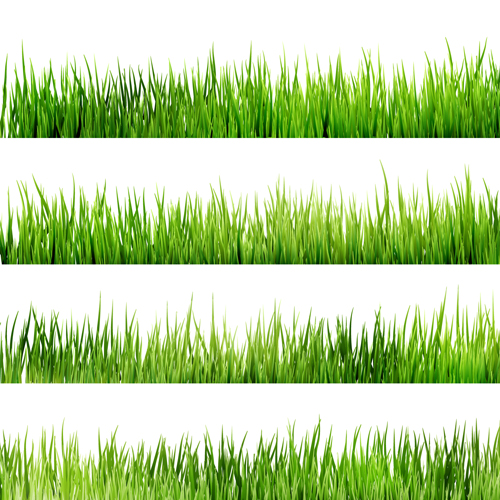 Realistisches Gras-Rändern Design Vektor 03 realistisch Grenzen Grenze Gras   