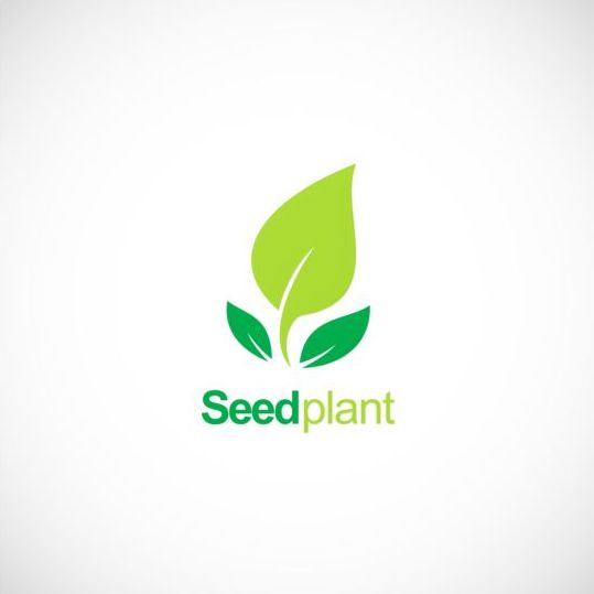 Vecteur de logo organique vert de plante de graine vert plante organique logo graine   