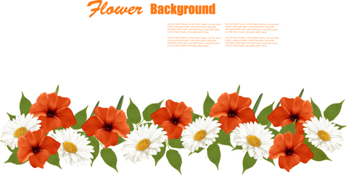 Sommer weiß und orange Blumen Hintergrundvektor 01 weiß Sommer orange Hintergrundvektor Hintergrund Blumen Blume   