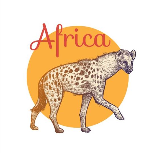 Afrika-Hügelvektor Hund Afrika   