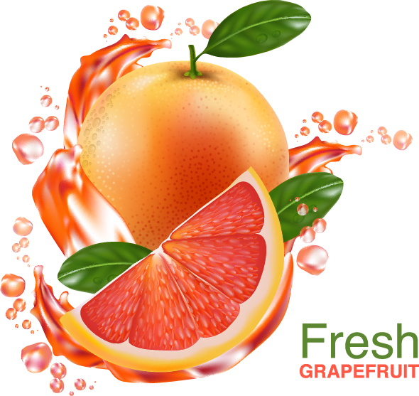 Frischer Grapefruit-Getränke-Plakatvektor 02 trinken poster grapefruit Frisch   