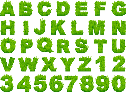 Lettres d’alphabet d’herbe avec le vecteur de nombres lettres herbe chiffres alphabet   